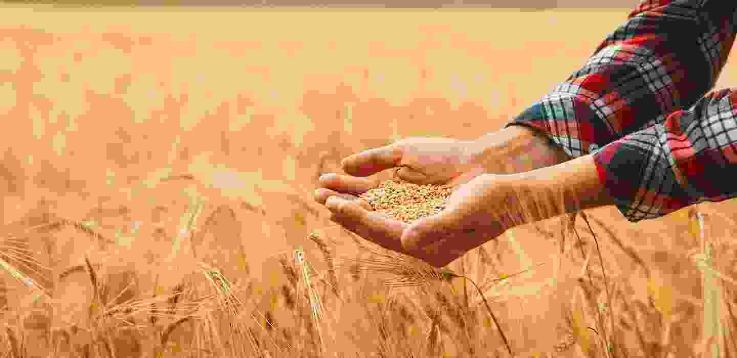 Featured Image